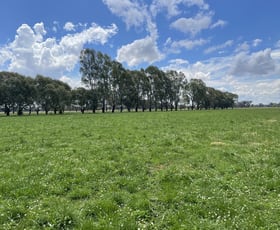 Rural / Farming commercial property for sale at 630 Morrissey Road Girgarre VIC 3624