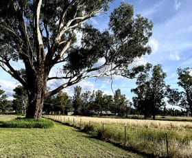 Rural / Farming commercial property for sale at 81 Pollocks Lane Quirindi NSW 2343