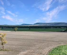 Rural / Farming commercial property for sale at 8354 Kamilaroi Highway Curlewis NSW 2381