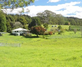 Rural / Farming commercial property for sale at Dorrigo NSW 2453