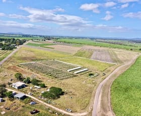 Rural / Farming commercial property for sale at 294 Mountainview Road Airville QLD 4807
