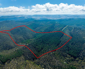 Rural / Farming commercial property for sale at 771 Greywacke Road Twenty Forests NSW 2795