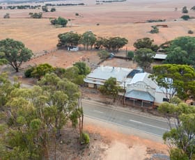 Rural / Farming commercial property for sale at 1338 Price Maurice Road Pekina SA 5431