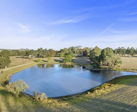 Rural / Farming commercial property for sale at 31 Donkey Hill Road Barjarg VIC 3723