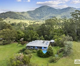 Rural / Farming commercial property for sale at 681 Limpinwood Road Chillingham NSW 2484