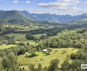 Rural / Farming commercial property for sale at 681 Limpinwood Road Chillingham NSW 2484