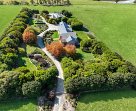 Rural / Farming commercial property for sale at 381 Chute Road Thorpdale VIC 3835