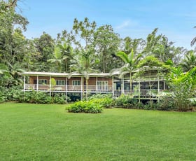 Rural / Farming commercial property for sale at 2159 Cape Tribulation Road Cape Tribulation QLD 4873