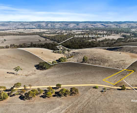 Rural / Farming commercial property for sale at Lot 101 Wattle Flat Road Ashbourne SA 5157