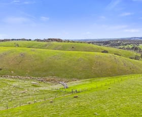 Rural / Farming commercial property for sale at Lot 101 Wattle Flat Road Ashbourne SA 5157