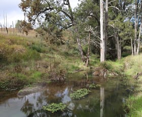 Rural / Farming commercial property for sale at Lot 51 Tim Shea Creek Road Wengenville QLD 4615