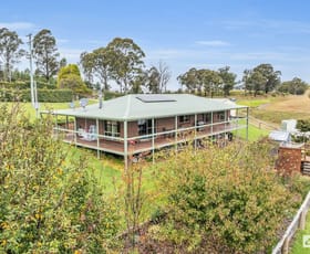 Rural / Farming commercial property for sale at 213 Myrtle Mountain Road Wyndham NSW 2550