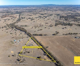Rural / Farming commercial property for sale at 1283 Heathcote-redesdale Road Mia Mia VIC 3444