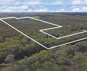Rural / Farming commercial property for sale at 339 The Wool Road St Georges Basin NSW 2540