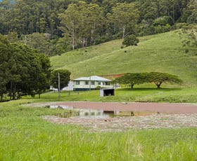 Rural / Farming commercial property for sale at 81 Harwood Road Burringbar NSW 2483
