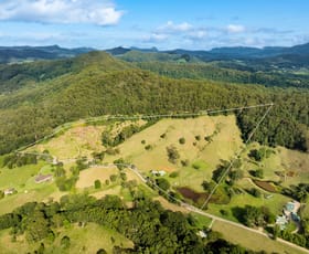Rural / Farming commercial property for sale at 81 Harwood Road Burringbar NSW 2483