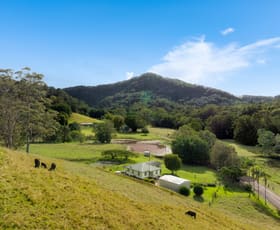 Rural / Farming commercial property for sale at 81 Harwood Road Burringbar NSW 2483