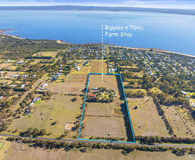 Rural / Farming commercial property for sale at 422 Ventnor Road Ventnor VIC 3922