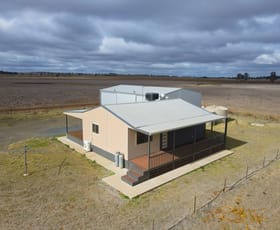 Rural / Farming commercial property for sale at 1056 The Bogan Way Forbes NSW 2871