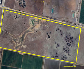 Rural / Farming commercial property for sale at 7712 Kidman Way Darlington Point NSW 2706
