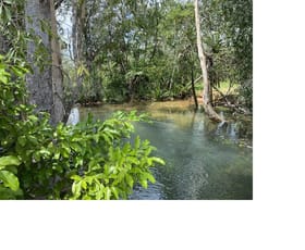 Rural / Farming commercial property for sale at 120 Serrata Road Dundee Downs NT 0840