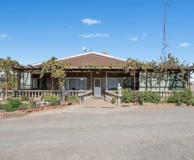 Rural / Farming commercial property for sale at 45 Cassia Road Leeton NSW 2705