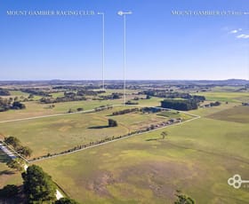 Rural / Farming commercial property for sale at 72 Brown Road Glenburnie SA 5291