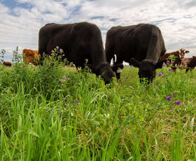 Rural / Farming commercial property for sale at Wyndham, Oxley Highway Tamworth NSW 2340