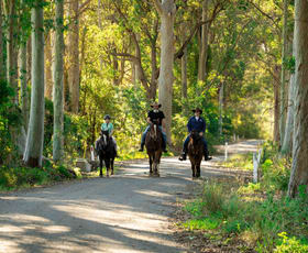 Rural / Farming commercial property for sale at 50 Comberton Grange Road Falls Creek NSW 2540