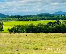 Rural / Farming commercial property for sale at 1297 Mt Molloy Street Mossman QLD 4873