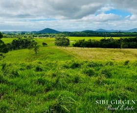 Rural / Farming commercial property for sale at 1297 Mt Molloy Street Mossman QLD 4873