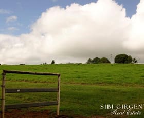 Rural / Farming commercial property for sale at 1297 Mt Molloy Street Mossman QLD 4873