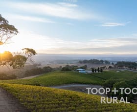 Rural / Farming commercial property for sale at 56 Chalk Hill Road Clarendon SA 5157