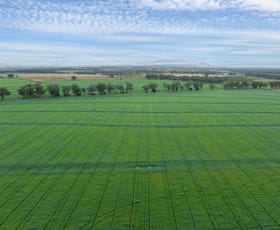 Rural / Farming commercial property for sale at 190 Walters Lane Tamworth NSW 2340