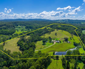 Rural / Farming commercial property for sale at 49 Young Road North Deep Creek QLD 4570