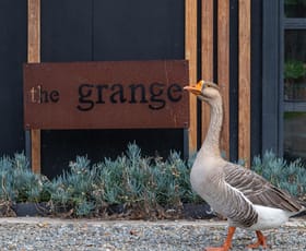 Rural / Farming commercial property for sale at 226 Bawley Point Road Bawley Point NSW 2539