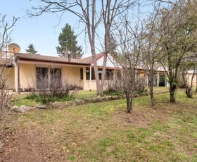 Rural / Farming commercial property for sale at 32 Stones Road Cooma NSW 2630