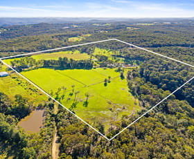 Rural / Farming commercial property for sale at 199 Berecry Road Mangrove Mountain NSW 2250