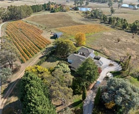 Rural / Farming commercial property for sale at 432 Cargo Road Orange NSW 2800