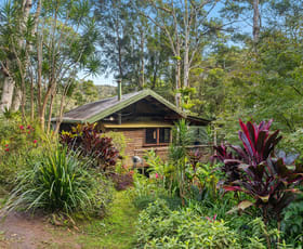 Rural / Farming commercial property for sale at 904 Terania Creek Road Terania Creek NSW 2480