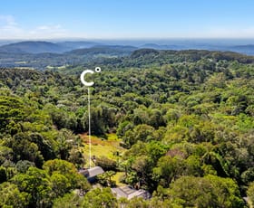 Rural / Farming commercial property for sale at 107 Repeater Station Road Springbrook QLD 4213