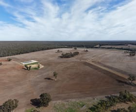 Rural / Farming commercial property for sale at 1640 Boyup Brook-Cranbrook Road Mayanup WA 6244