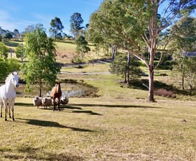 Rural / Farming commercial property for sale at 484b Comleroy Road Kurrajong NSW 2758