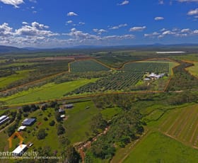 Rural / Farming commercial property for sale at 44 Carman Road Mareeba QLD 4880
