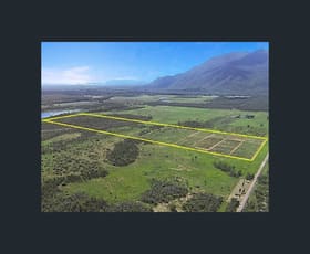 Rural / Farming commercial property for sale at 122 Webb Road Majors Creek QLD 4816
