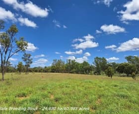 Rural / Farming commercial property for sale at 6743 Dunrobin Road Jericho QLD 4728