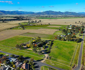 Rural / Farming commercial property for sale at 1 Stanley Crescent Quirindi NSW 2343