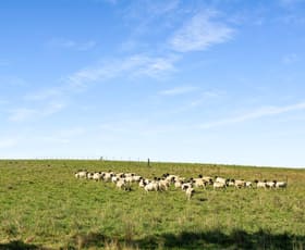 Rural / Farming commercial property for sale at Lots 28 & Eagle Rock Lane Joadja NSW 2575