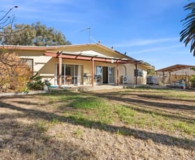 Rural / Farming commercial property for sale at 17 Elephant Trunk Road Cobdogla SA 5346