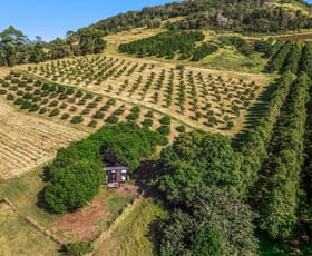 Rural / Farming commercial property for sale at 61 Hansen Road Dagun QLD 4570